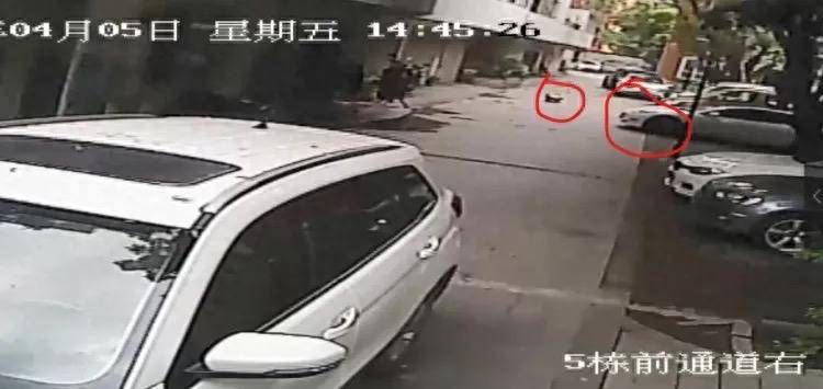 皇冠信用盘平台代理_特斯拉碾压幼童案二审维持原判皇冠信用盘平台代理,车主获刑10个月 车主:将考虑上诉