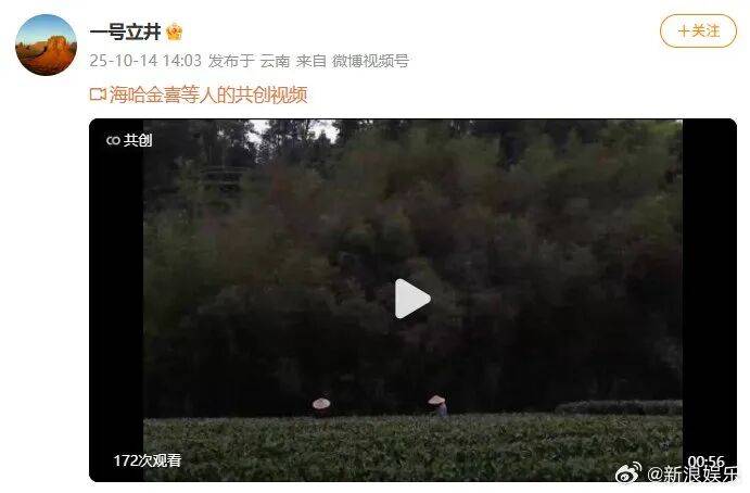 皇冠注册平台_李亚鹏官宣与海哈金喜离婚:已经办理了离婚手续皇冠注册平台,孩子跟随母亲生活,由双方抚养