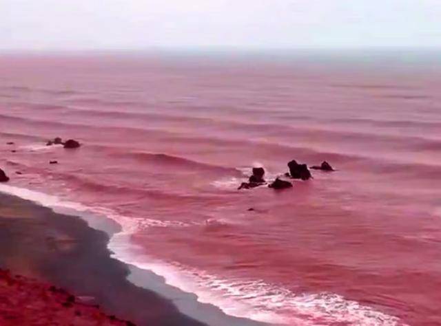 皇冠信用盘结算日是哪天_罕见！伊朗霍尔木兹岛遭遇强降雨皇冠信用盘结算日是哪天，部分海域变成“血色海洋”